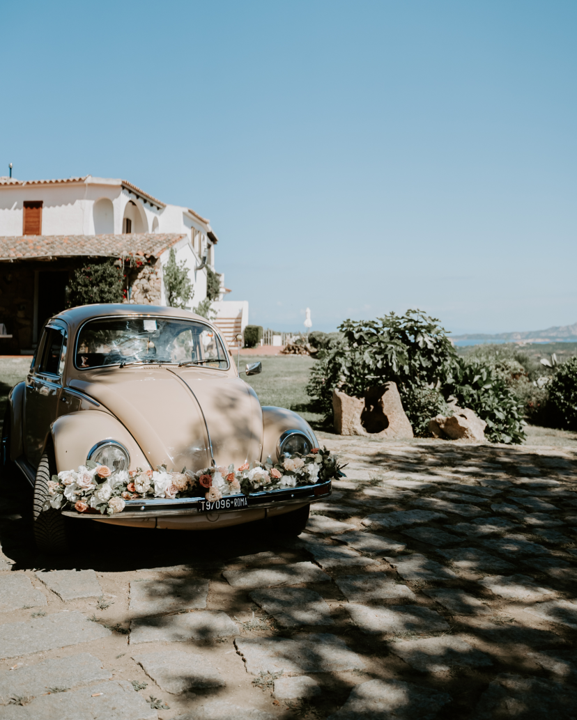 Daria Photo Photographer