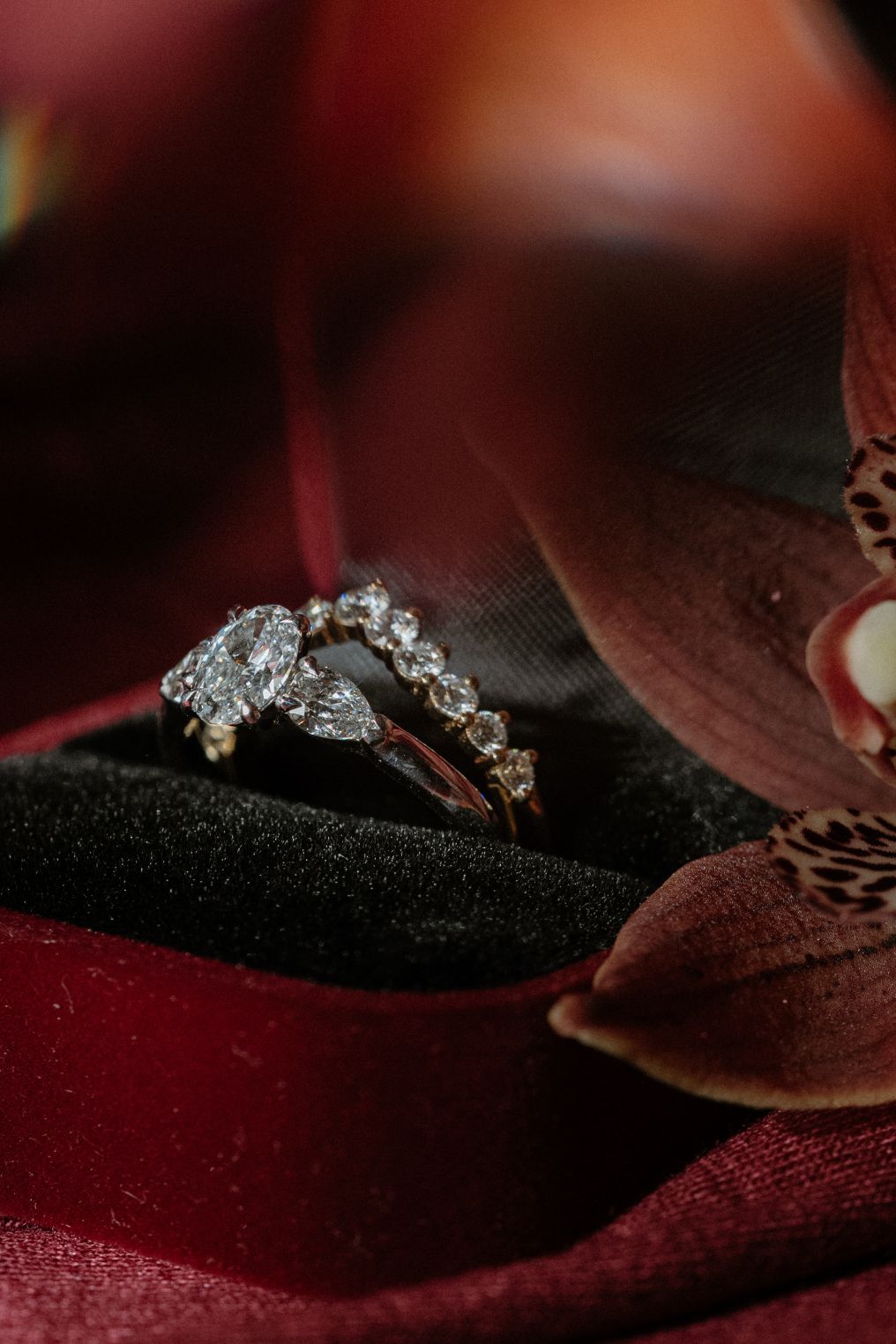 Sannaz Noor Photographer photo