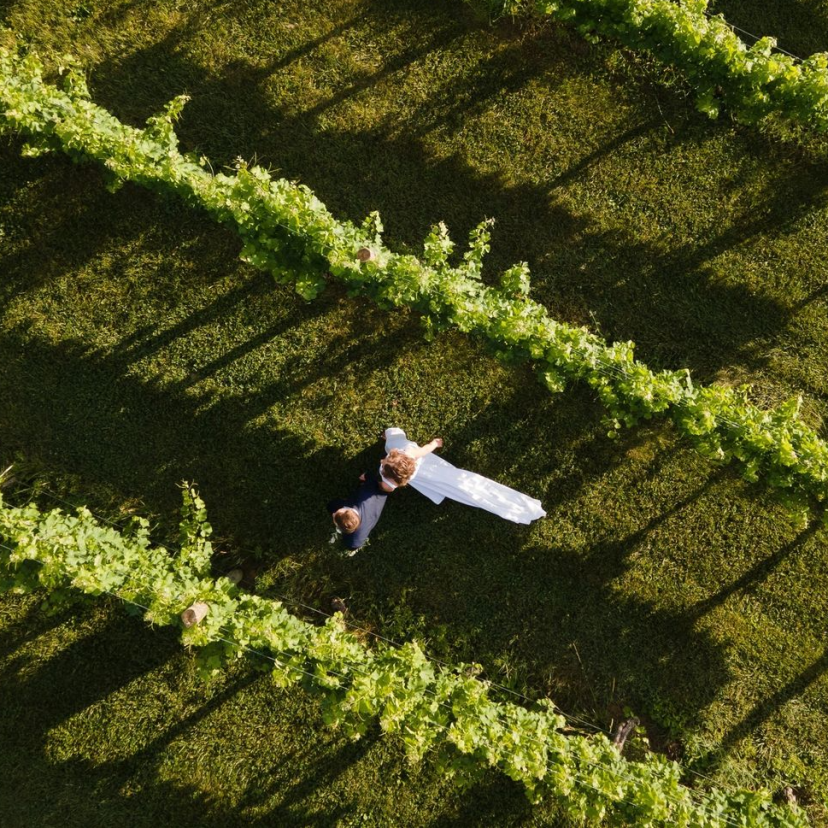 Pippin Hill Farm & Vineyards Venues