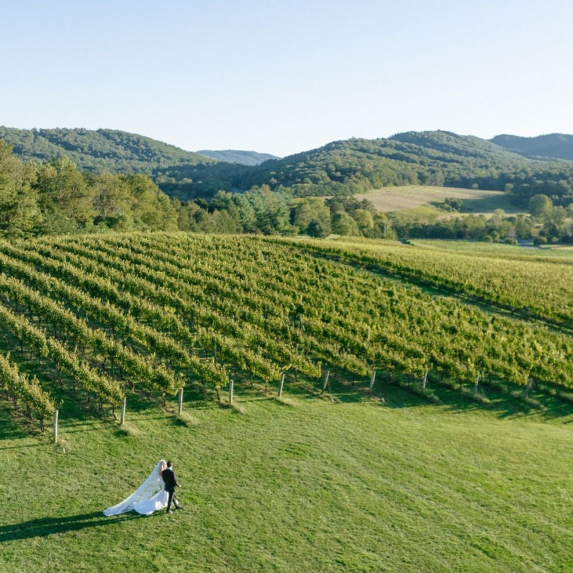 Pippin Hill Farm & Vineyards Venues