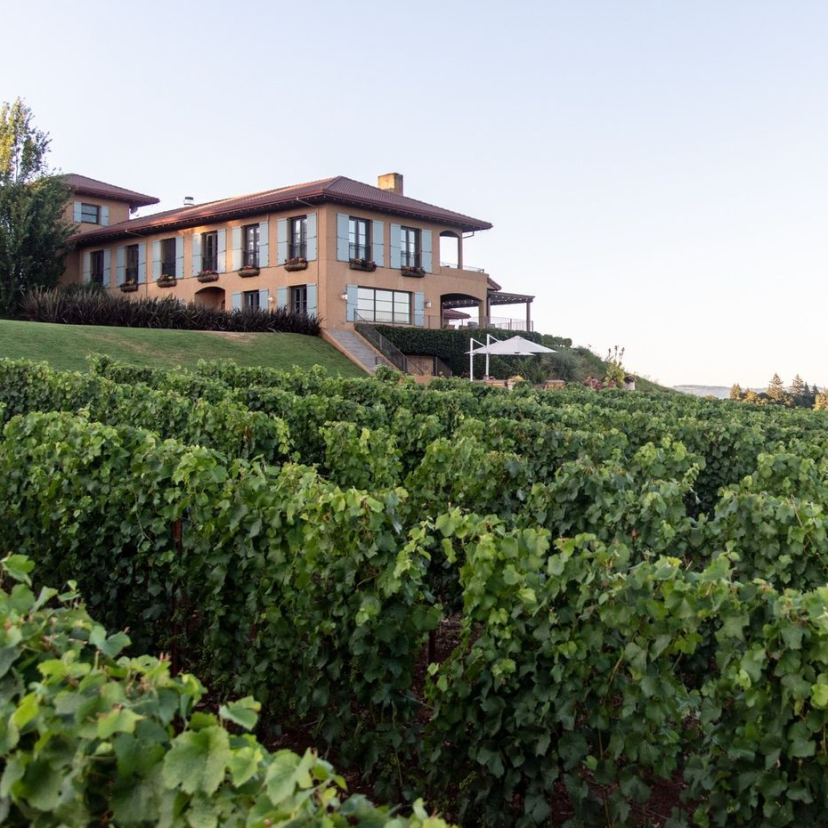 Black Walnut Inn & Vineyard Venues