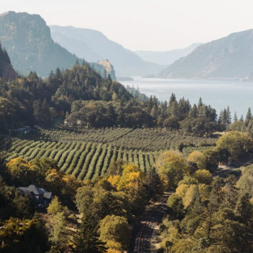 The Griffin House Venues