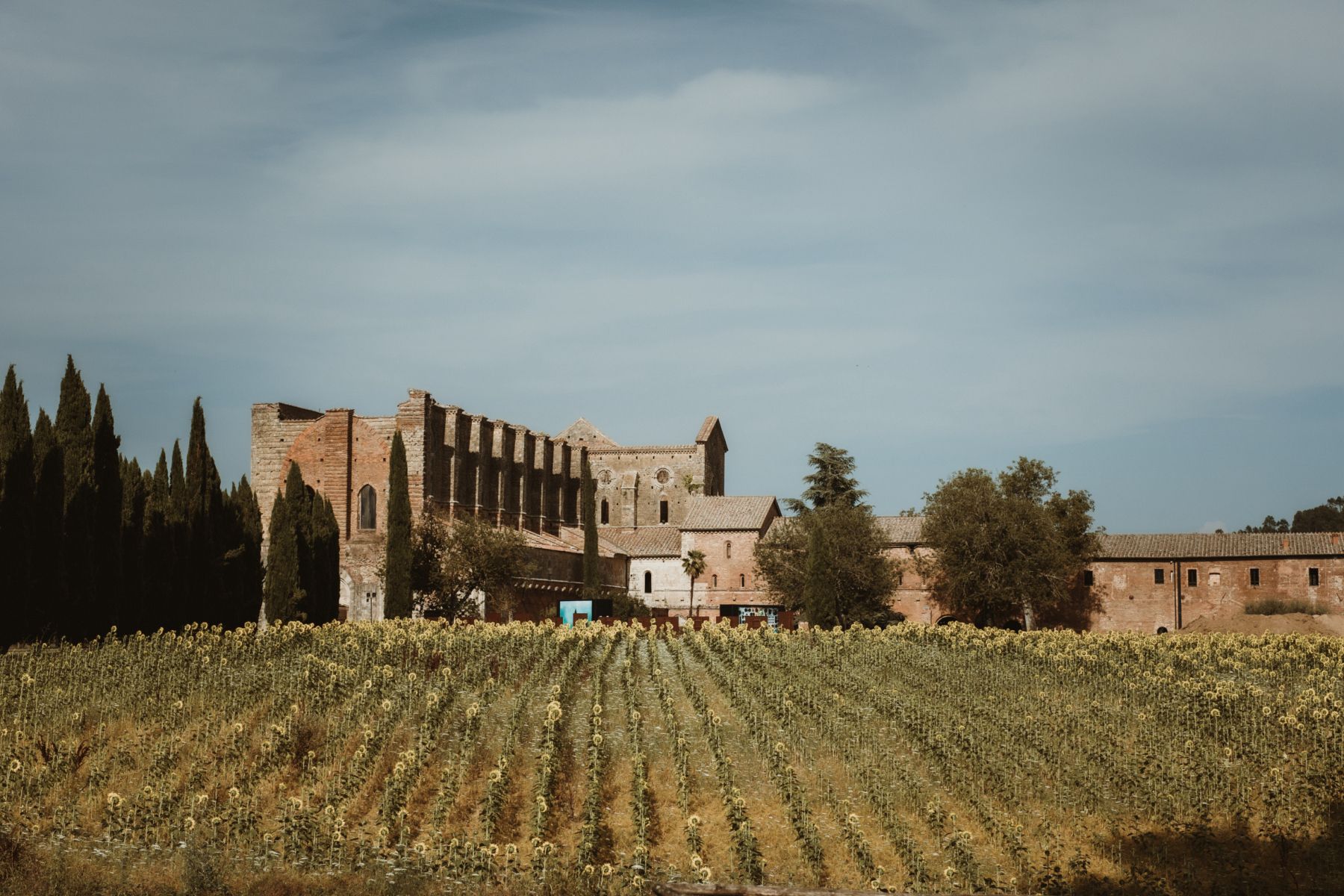 Lindsey and Kyle's Romantic Tuscan Destination Wedding at Lands of San Galgano photo