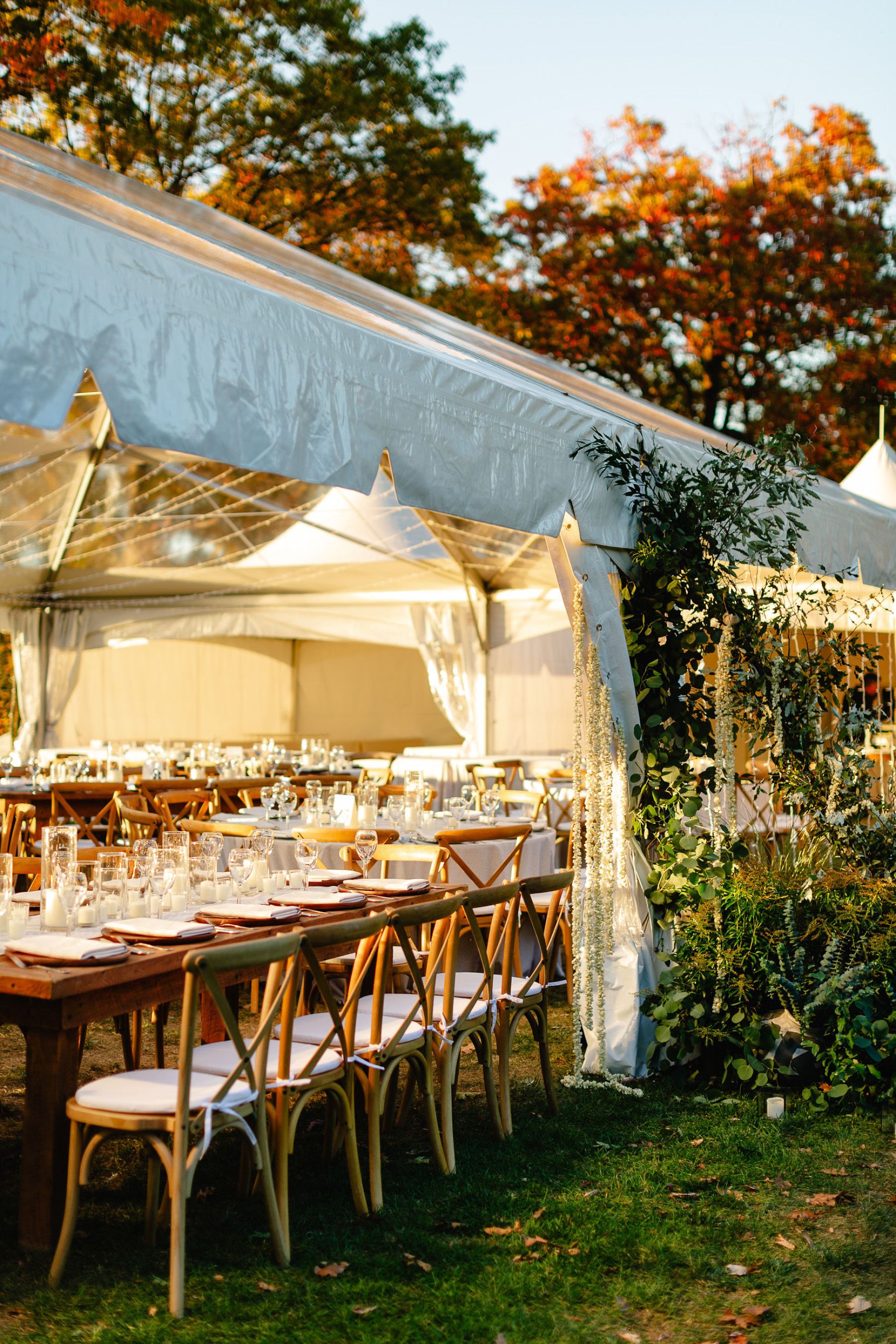 Marigold Dreams: Tanushri &amp; Lukas's Joyful Wedding at A Private Estate photo