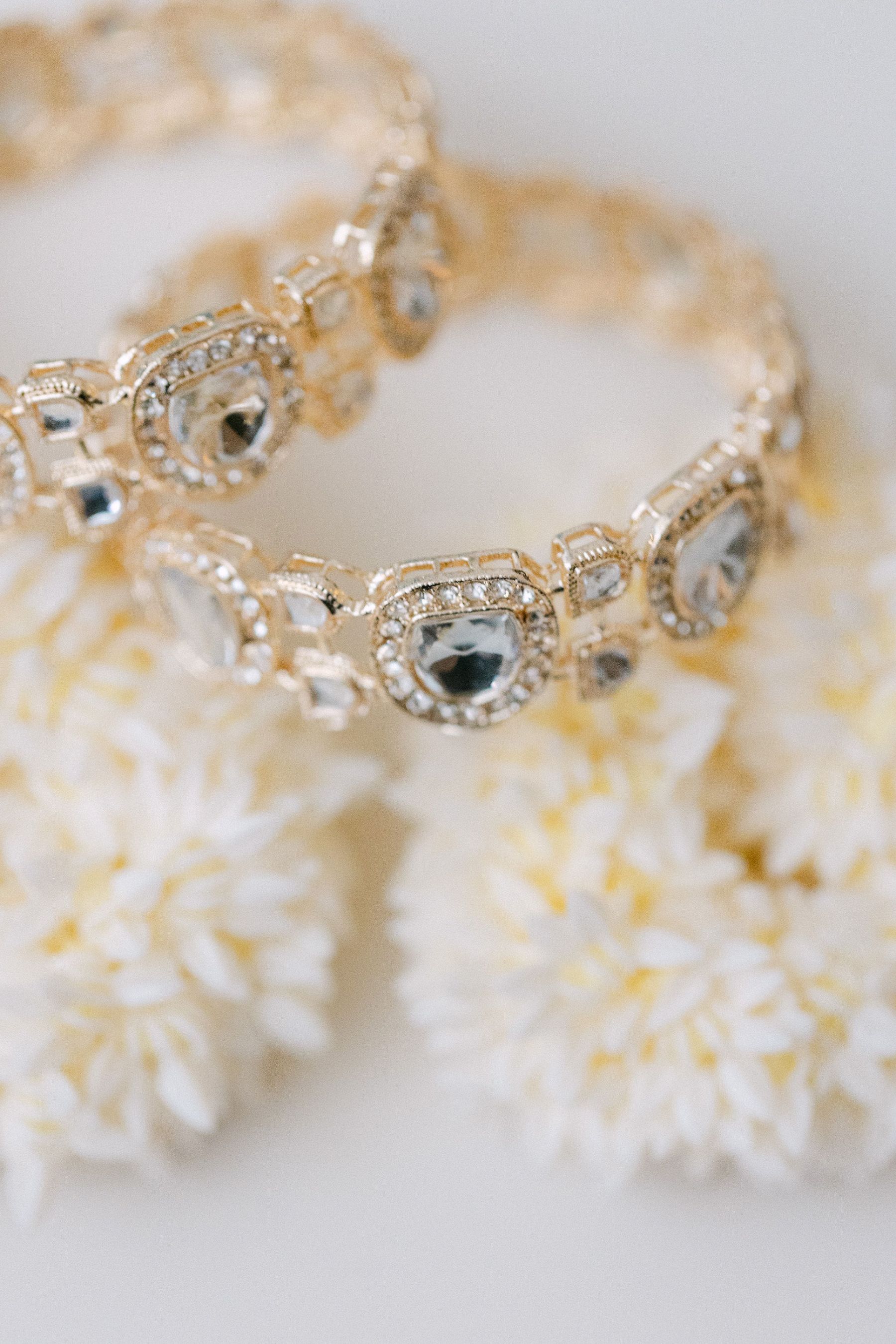 When Hinge Led to Happily Ever After: Aashna &amp; Rajprit's Tropical Destination Wedding in Los Cabos photo