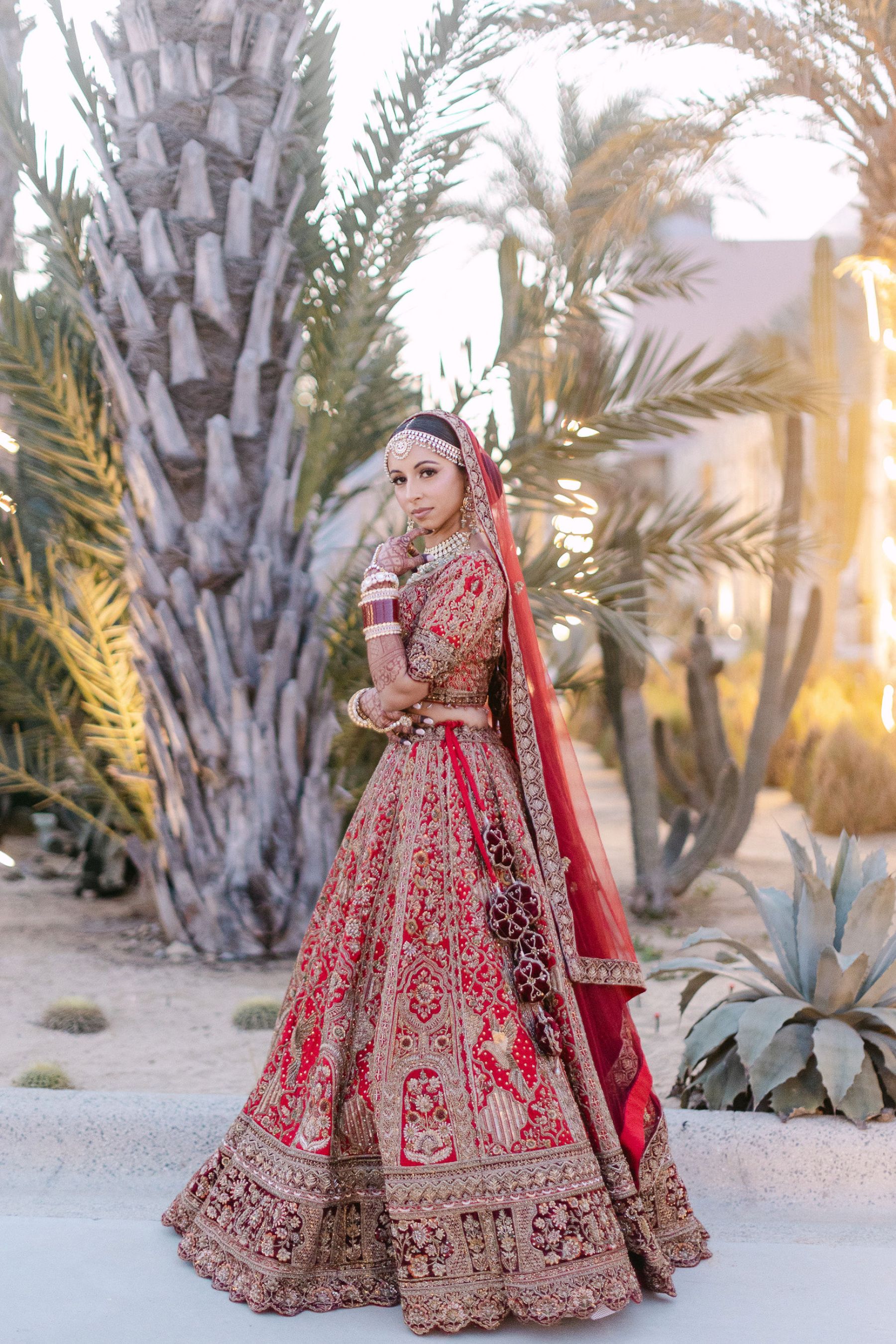 When Hinge Led to Happily Ever After: Aashna &amp; Rajprit's Tropical Destination Wedding in Los Cabos photo