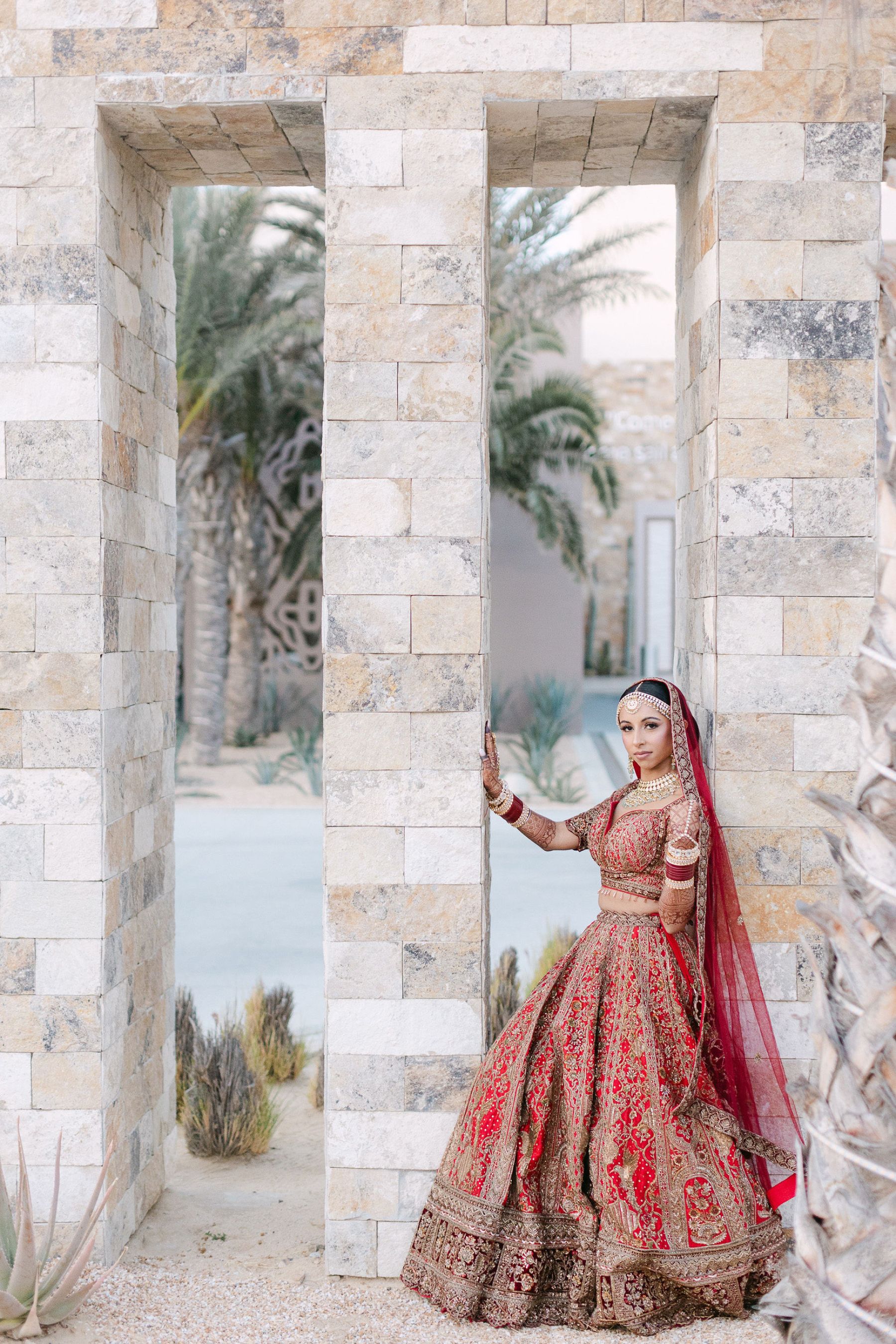When Hinge Led to Happily Ever After: Aashna &amp; Rajprit's Tropical Destination Wedding in Los Cabos photo