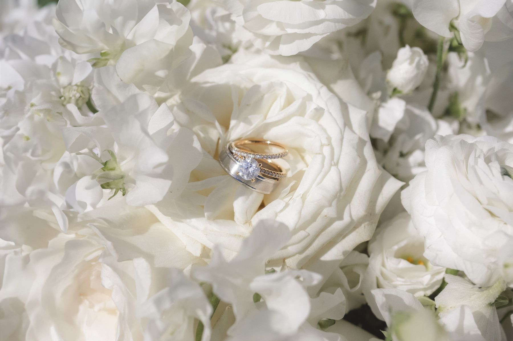 Melanie and Justin’s Pride and Prejudice-Inspired Wedding at Thalatta Estate photo