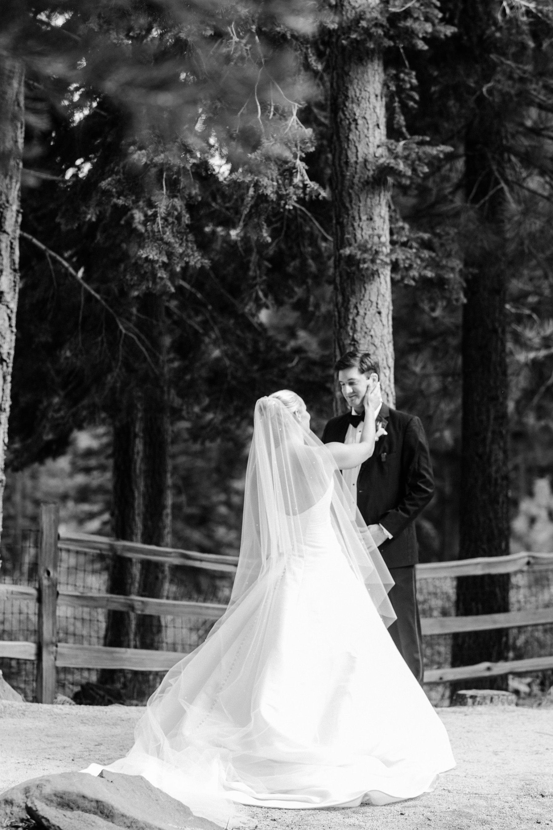 Janey &amp; Michael's Celebration: A Timeless Wedding at The Ritz-Carlton, Lake Tahoe photo