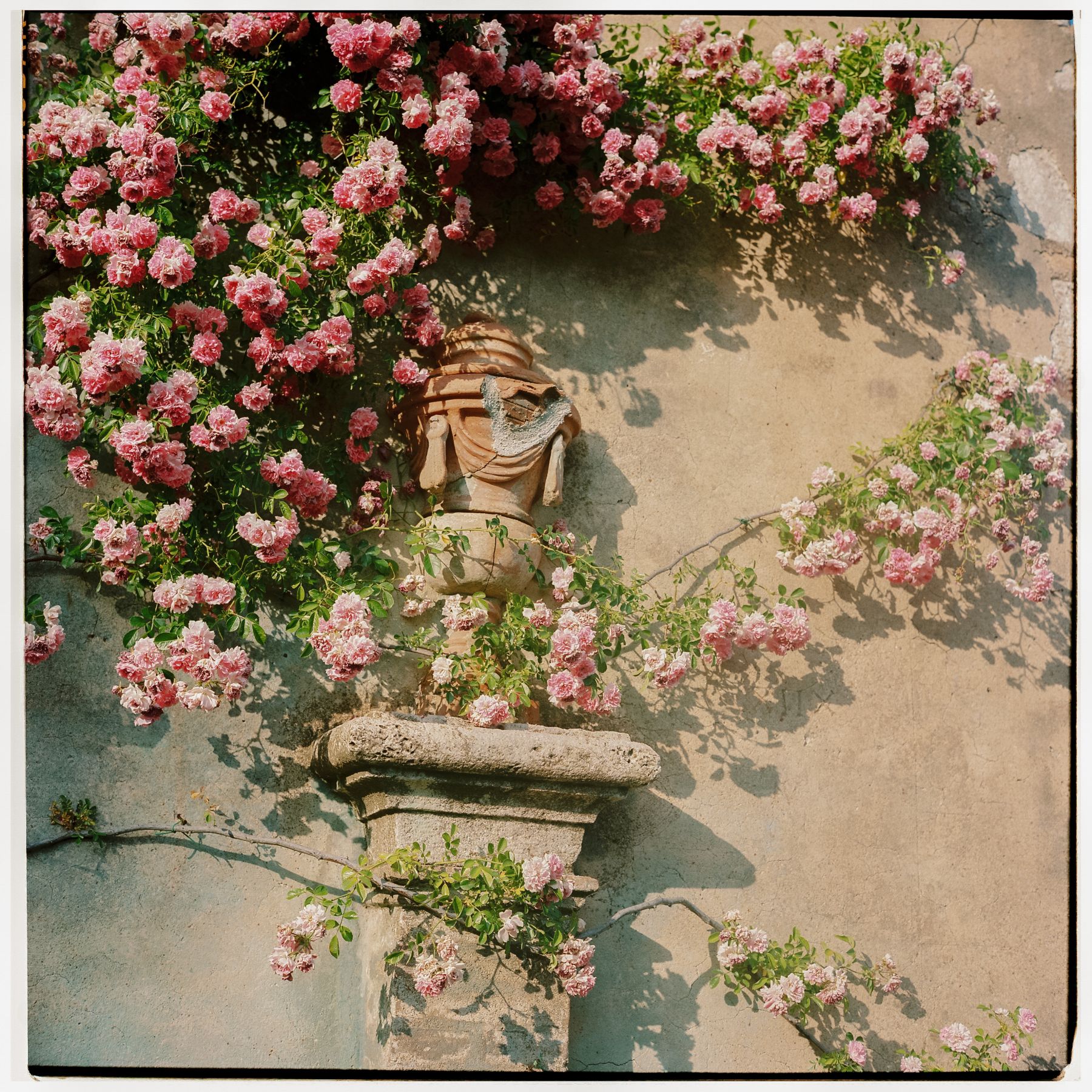 An Ode to Florence: Kate &amp; Cameron Renaissance-Inspired Wedding at Castello di Celsa photo