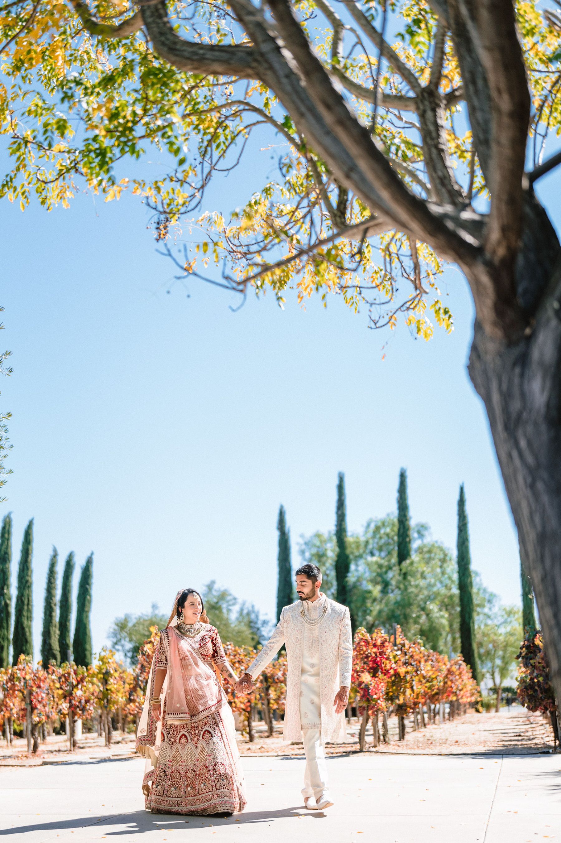 Zoey &amp; Deven's Elegant Indian Wedding at Mount Palomar Winery photo