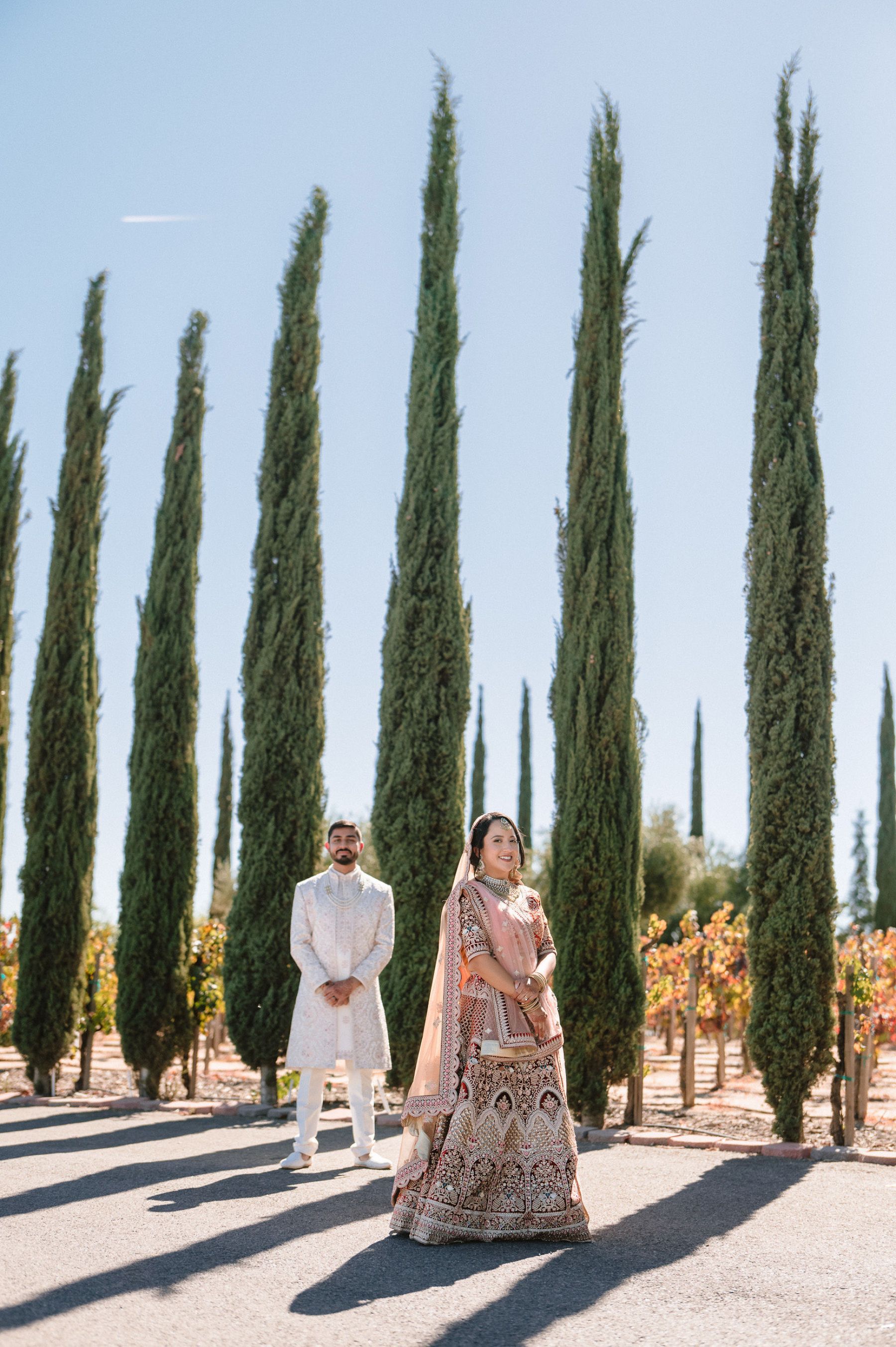 Zoey &amp; Deven's Elegant Indian Wedding at Mount Palomar Winery photo