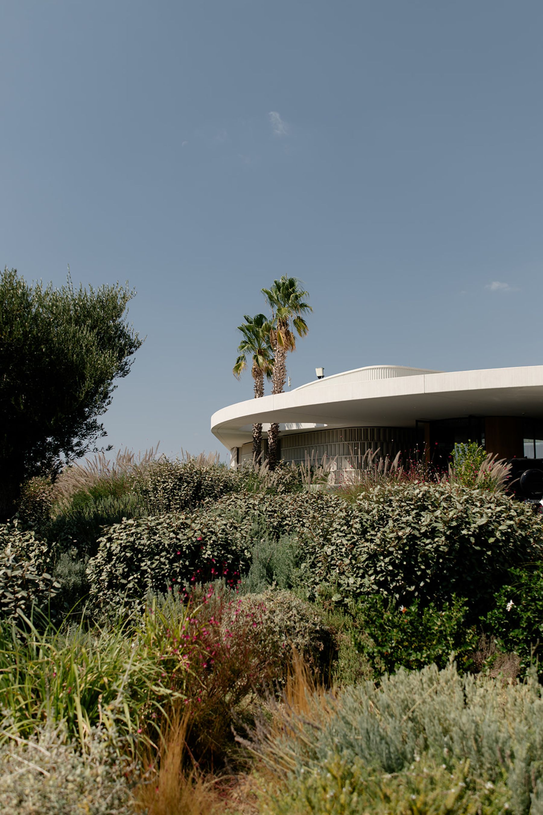 Alexis &amp; Matthew's Dream Wedding at Island Resort Athens Riviera: Romance, Tarot, and The City of the Gods photo