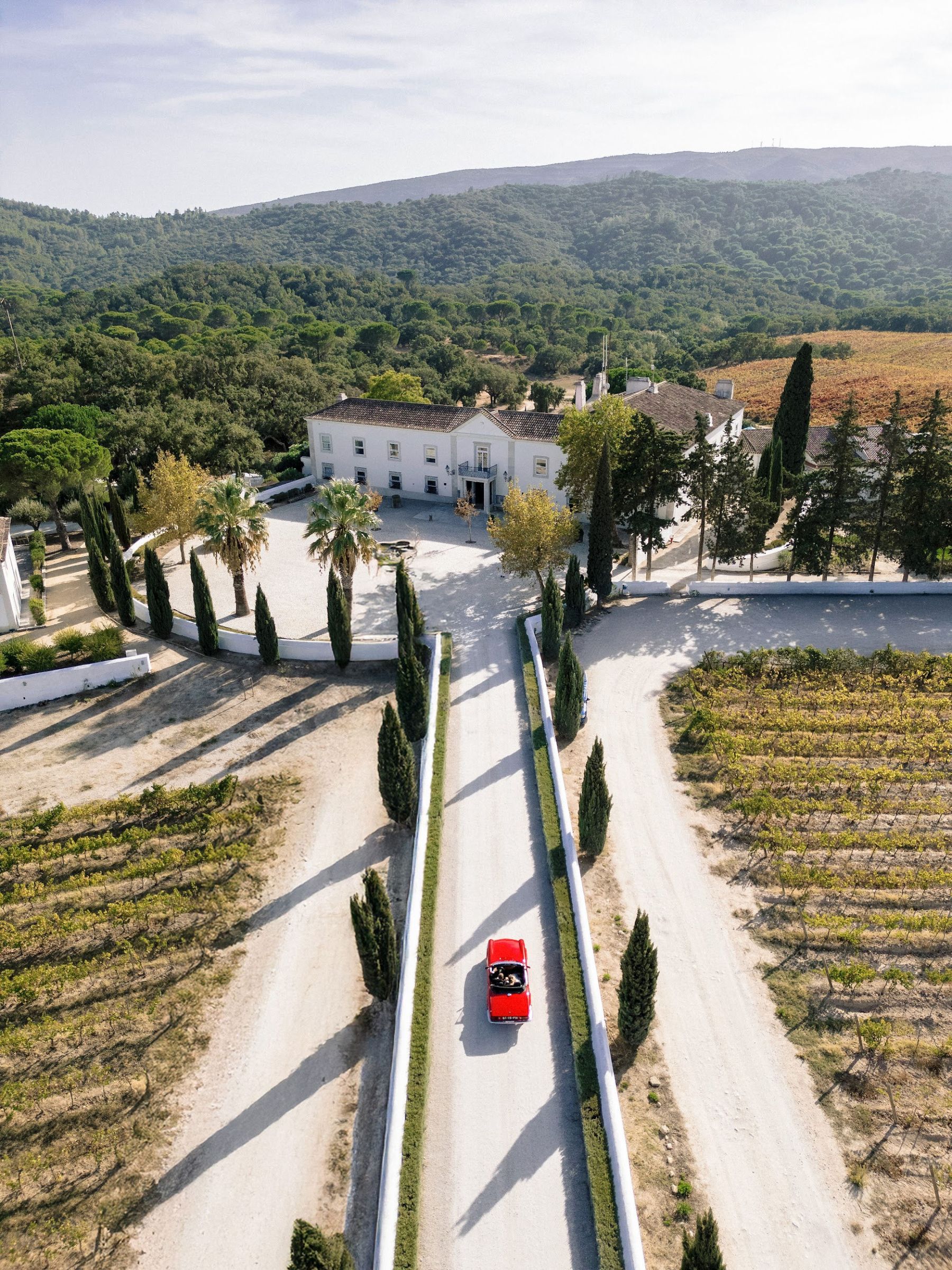 Mila &amp; Andrei's "Expensive Simplicity" Wedding at Hotel Casa Palmela, Portugal photo