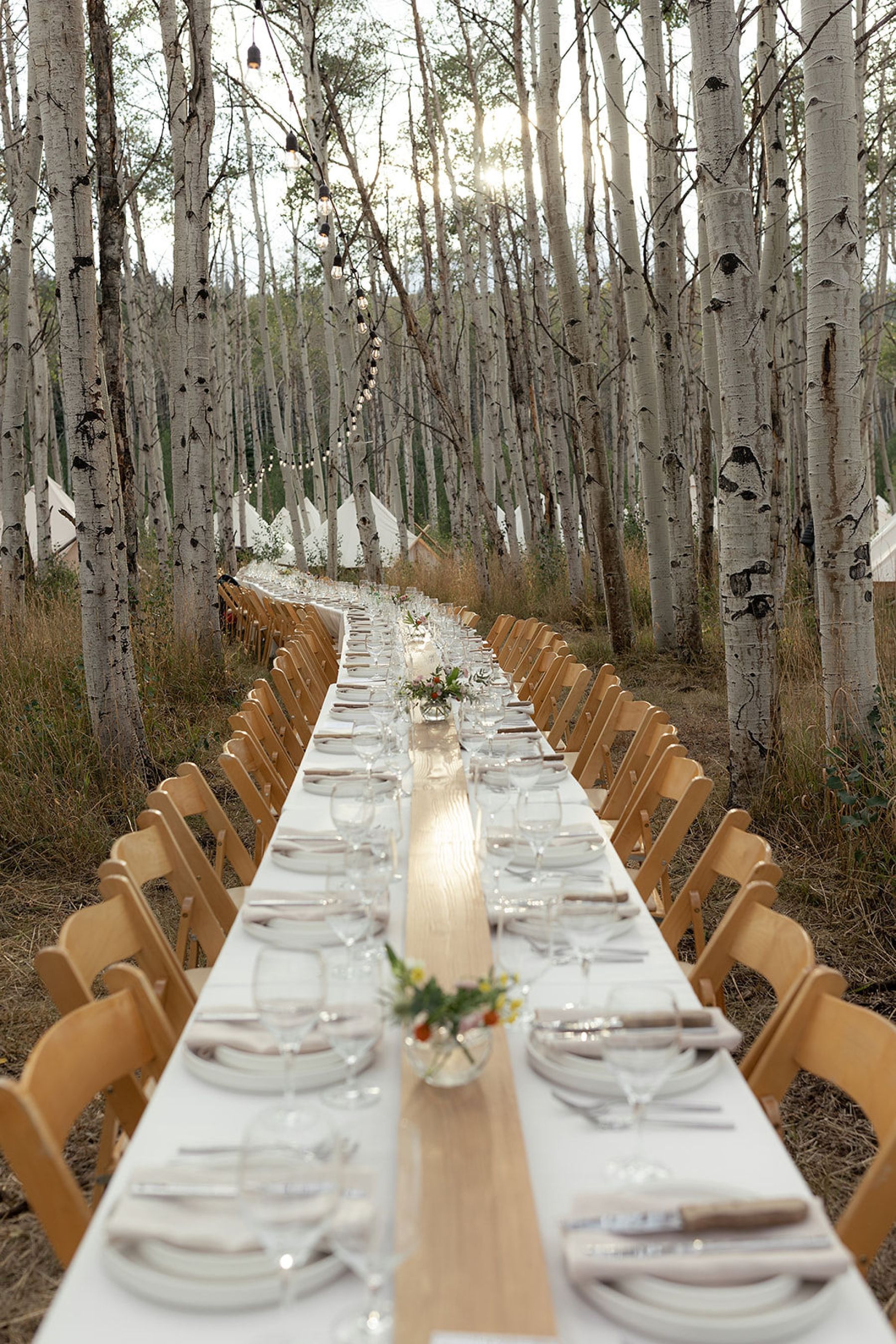 A Laugh-Cry Down the Aisle and Dinner Beneath the Aspens: Olivia &amp; Zach's Wedding at Their Family Property in Silverthorne photo