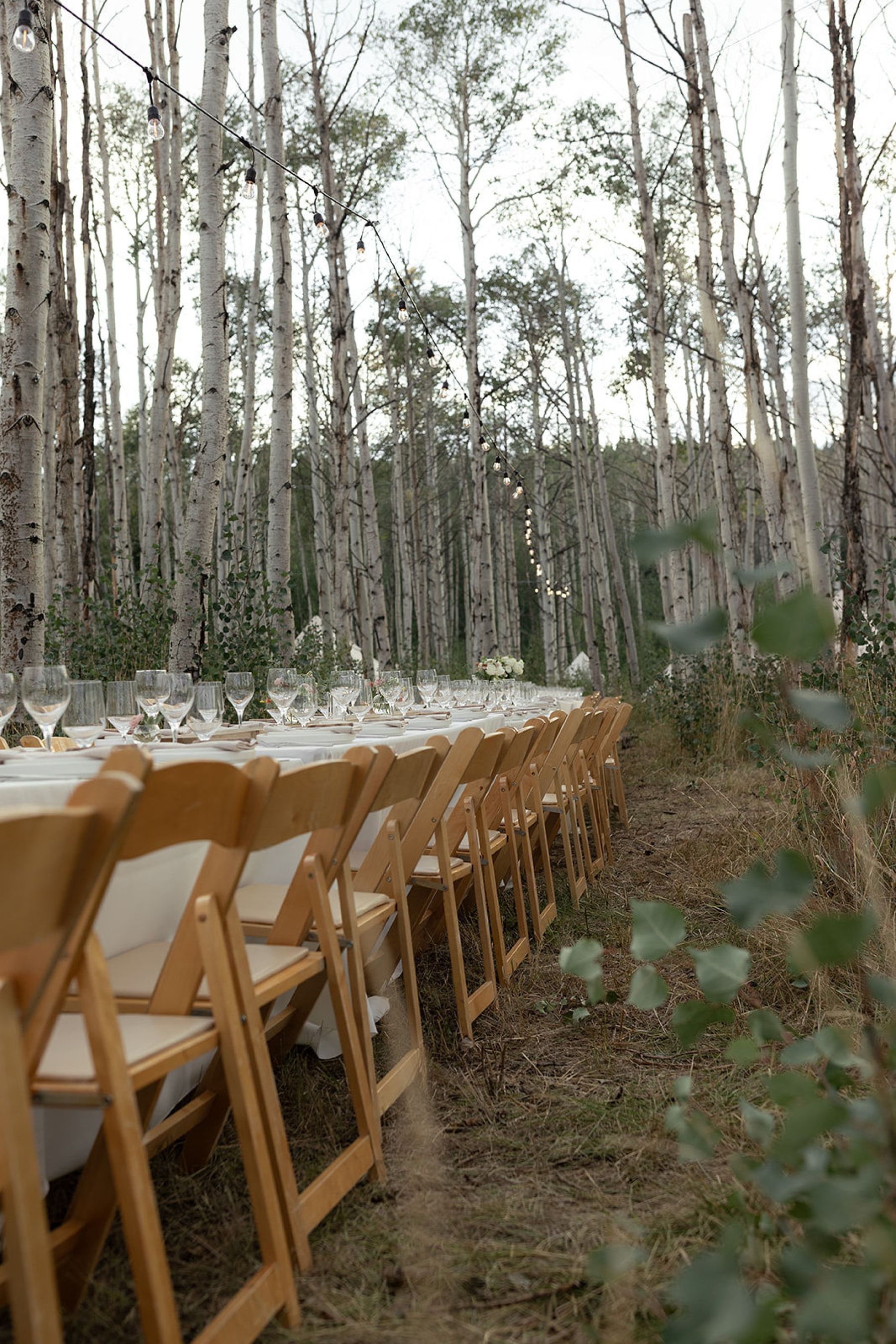 A Laugh-Cry Down the Aisle and Dinner Beneath the Aspens: Olivia &amp; Zach's Wedding at Their Family Property in Silverthorne photo