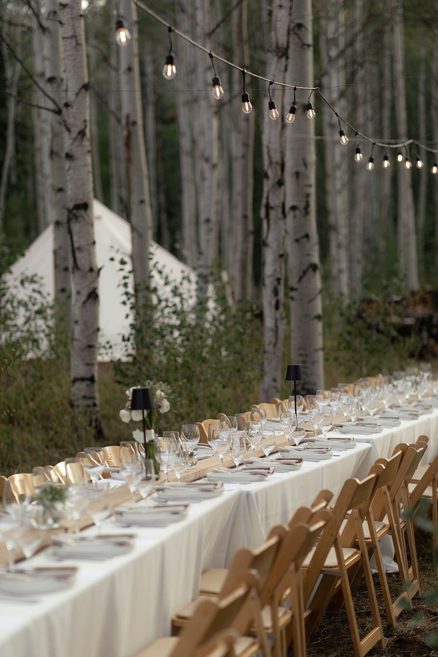 A Laugh-Cry Down the Aisle and Dinner Beneath the Aspens: Olivia &amp; Zach's Wedding at Their Family Property in Silverthorne photo