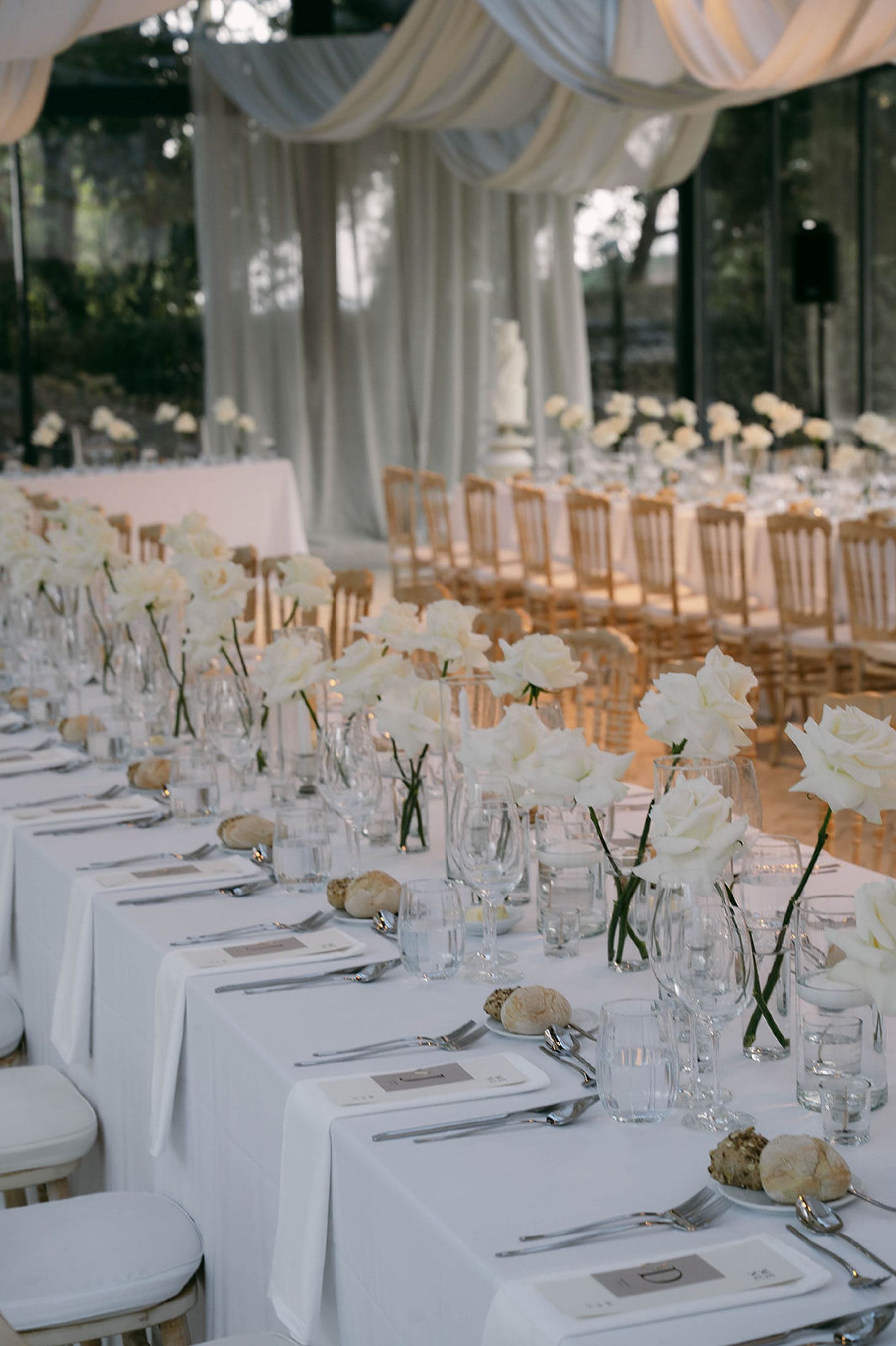 They Said Yes at Lake Como and Got Married in Lisbon: Brittney &amp; Luis's Wedding at Vandelli Botanical Gardens photo