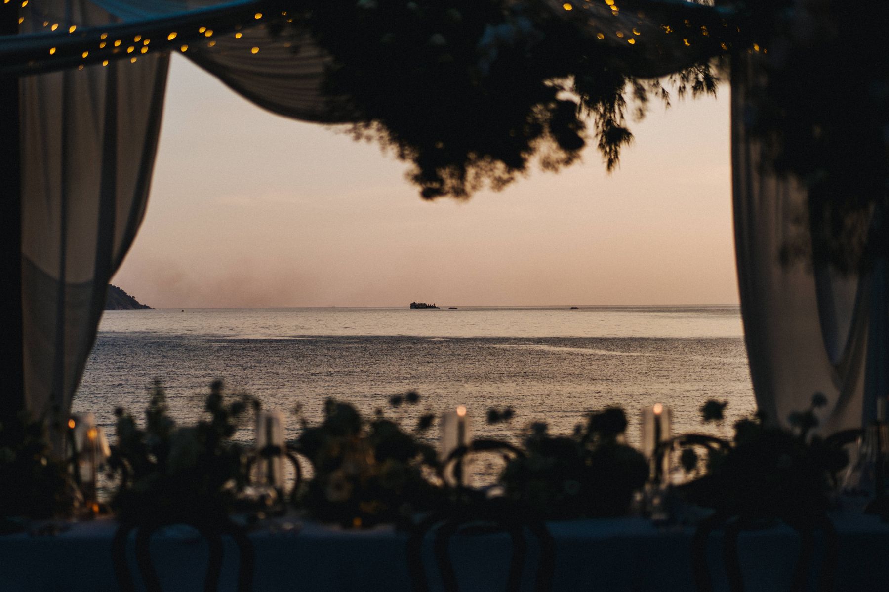A Dog Portrait on Every Detail &amp; Beauty and the Beast on Saxophone: Gladys &amp; Donovan's Wedding at The Naka Phuket photo