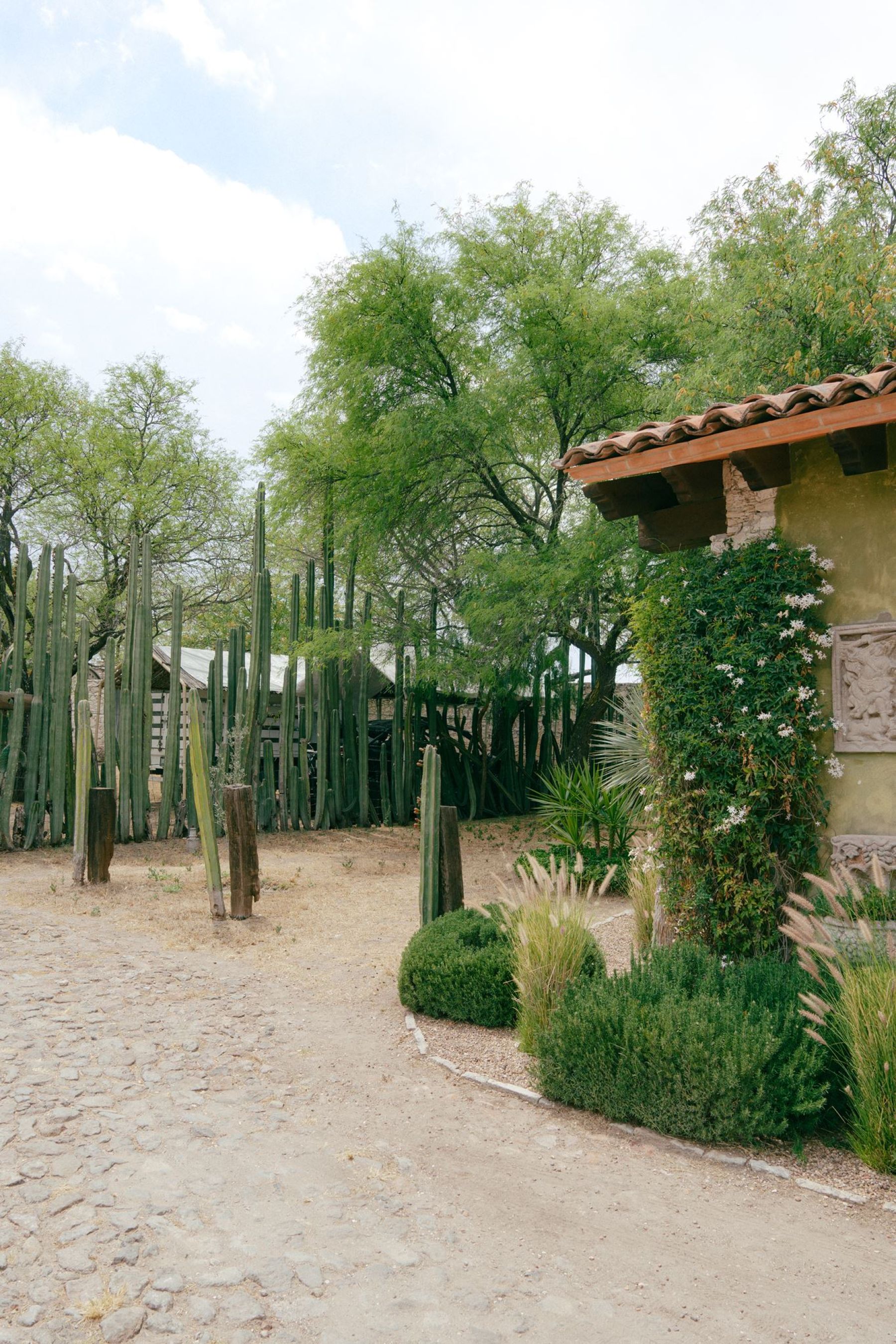 She Saved It on Pinterest at 15. Years Later, She Got Married There: Stefany &amp; Tobias's Wedding at Rancho Las Sabinas photo