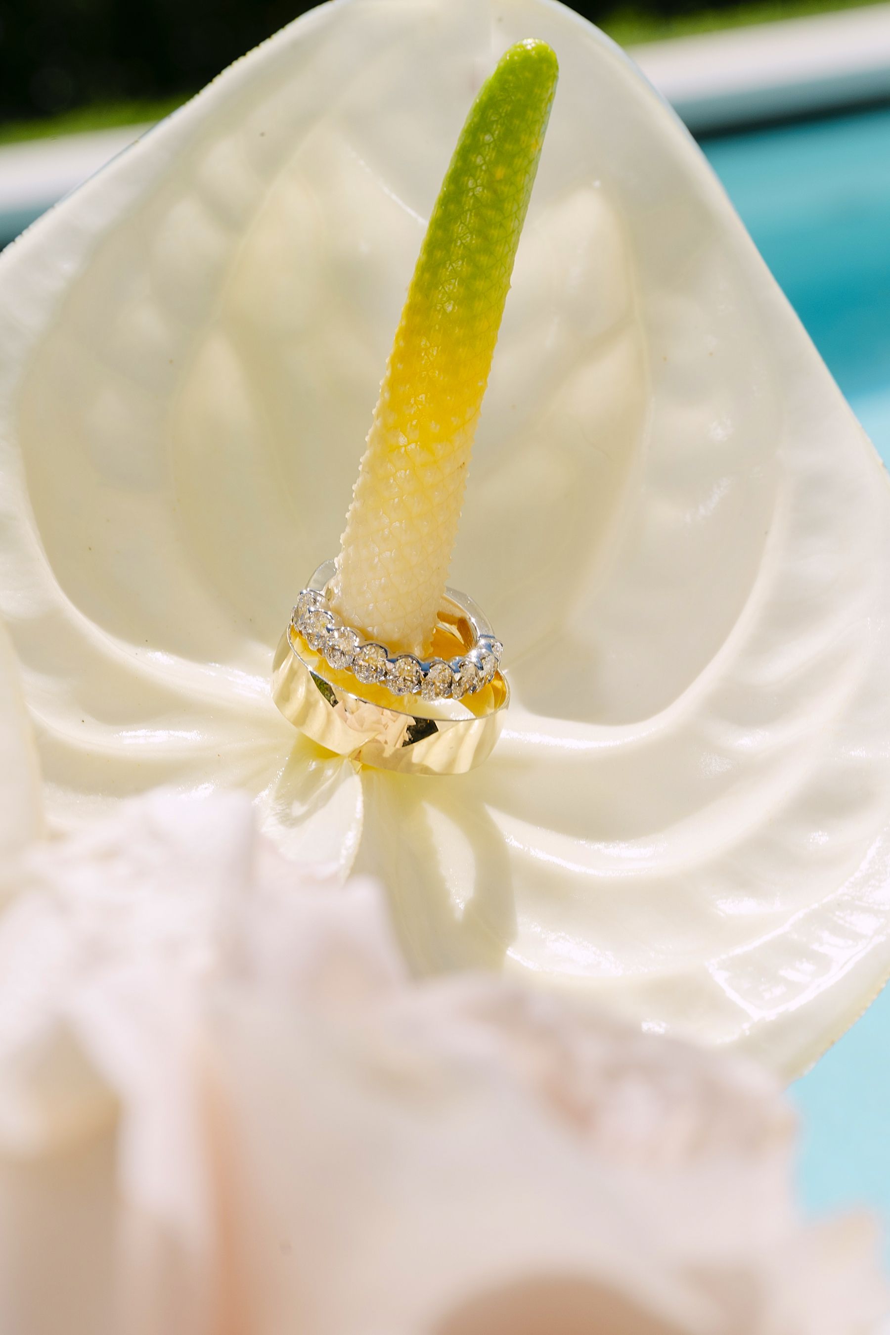 Timeless Italian Elegance on Lake Garda: Kendall &amp; Jeff’s Wedding at Villa Bettoni photo