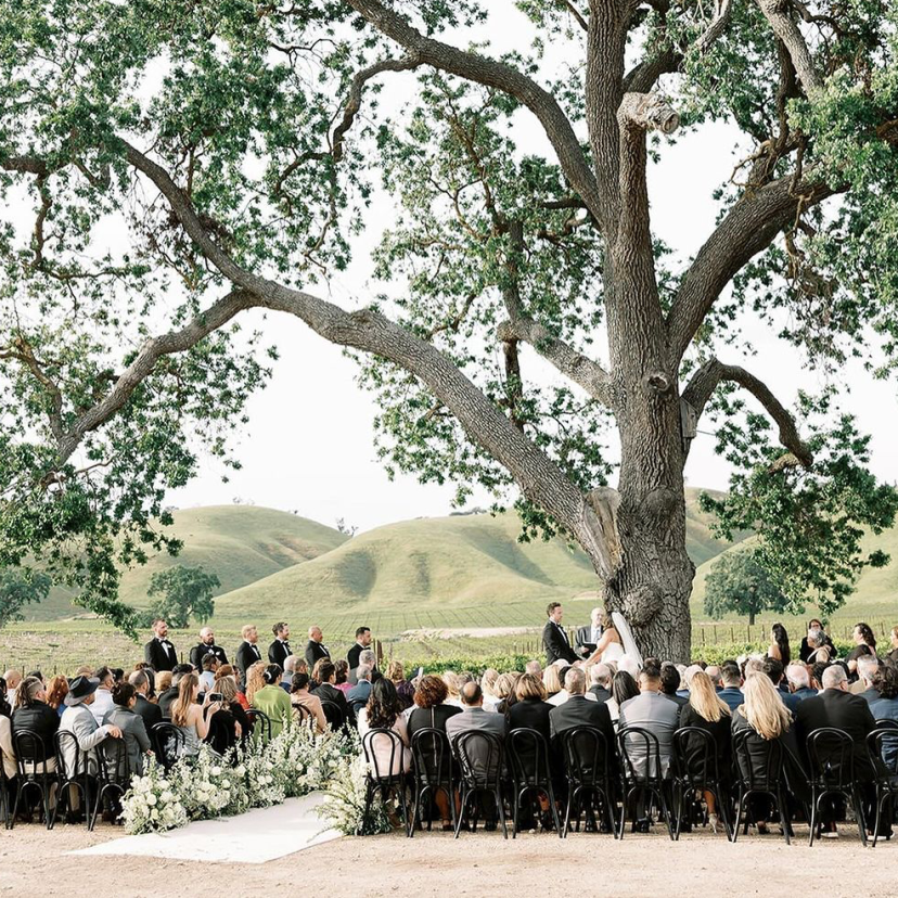 Amanda Marie & Co Planner Amanda Marie & Co Planner