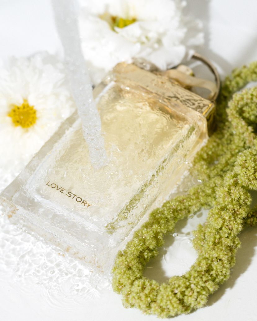 Camille Bressan Photographer