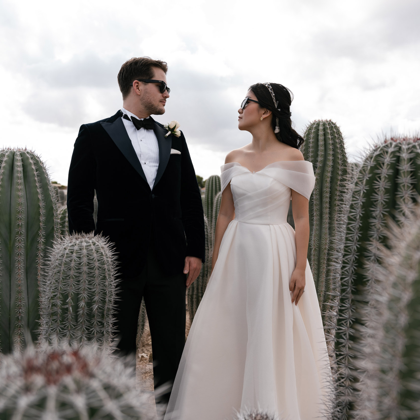 theWEDpix Photographer