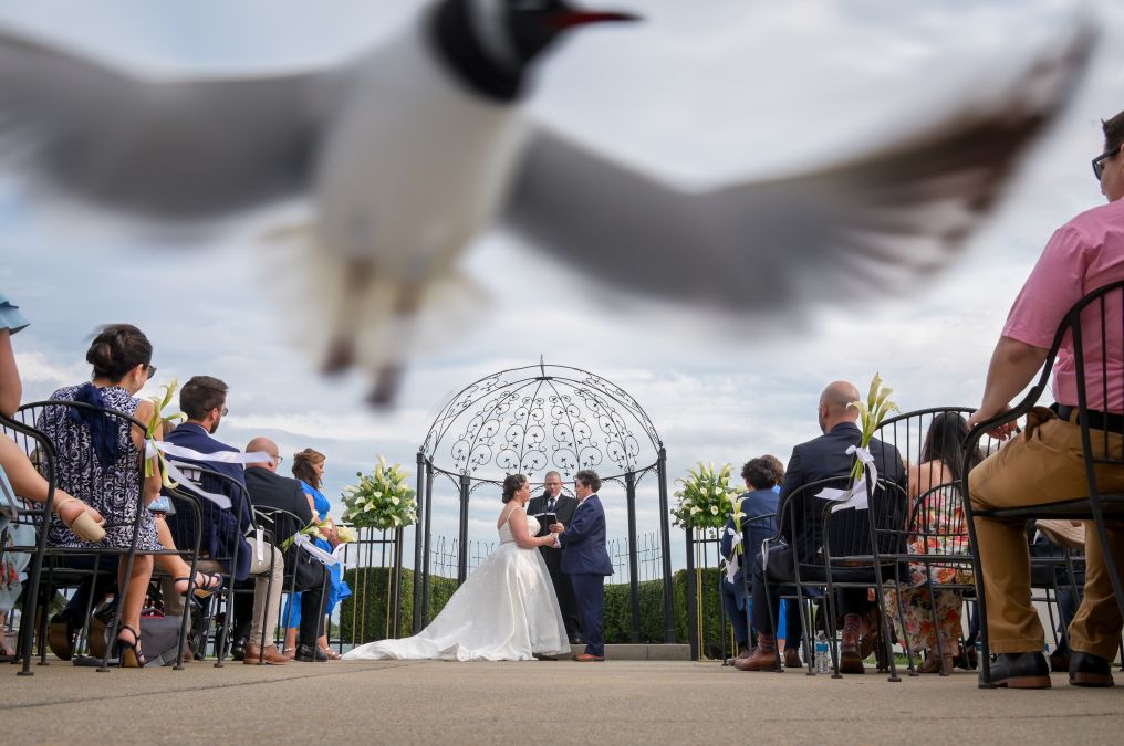 Marci Curtis Wedding Photojournalist Photographer photo