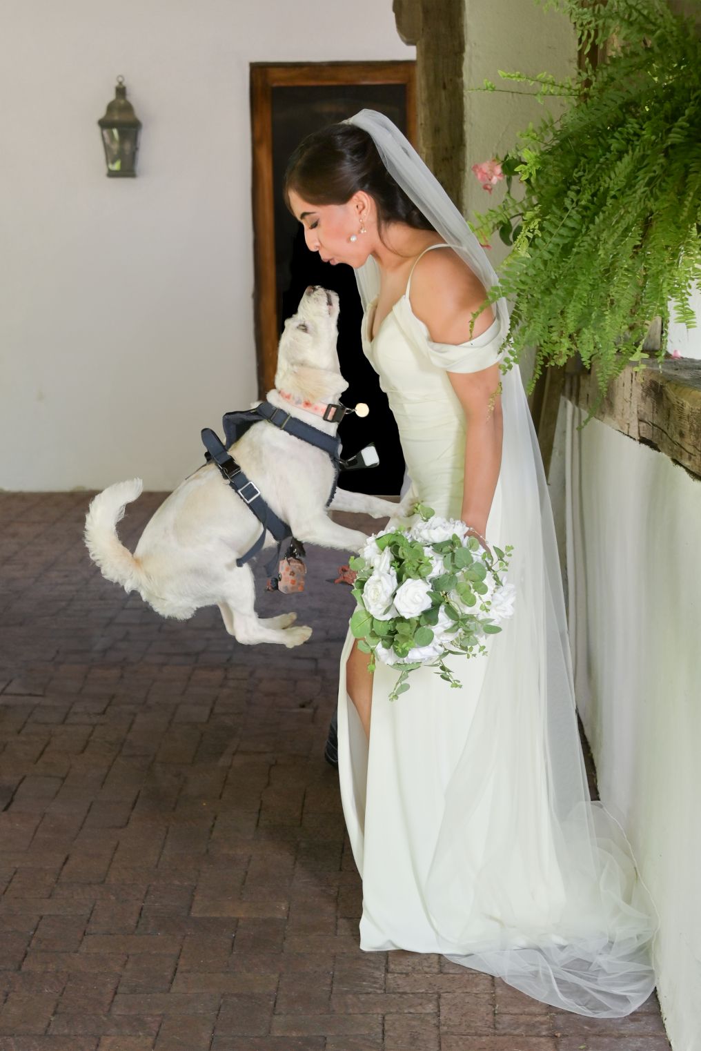 Marci Curtis Wedding Photojournalist