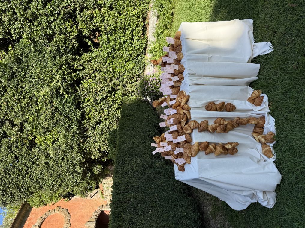 Social Brides Collective