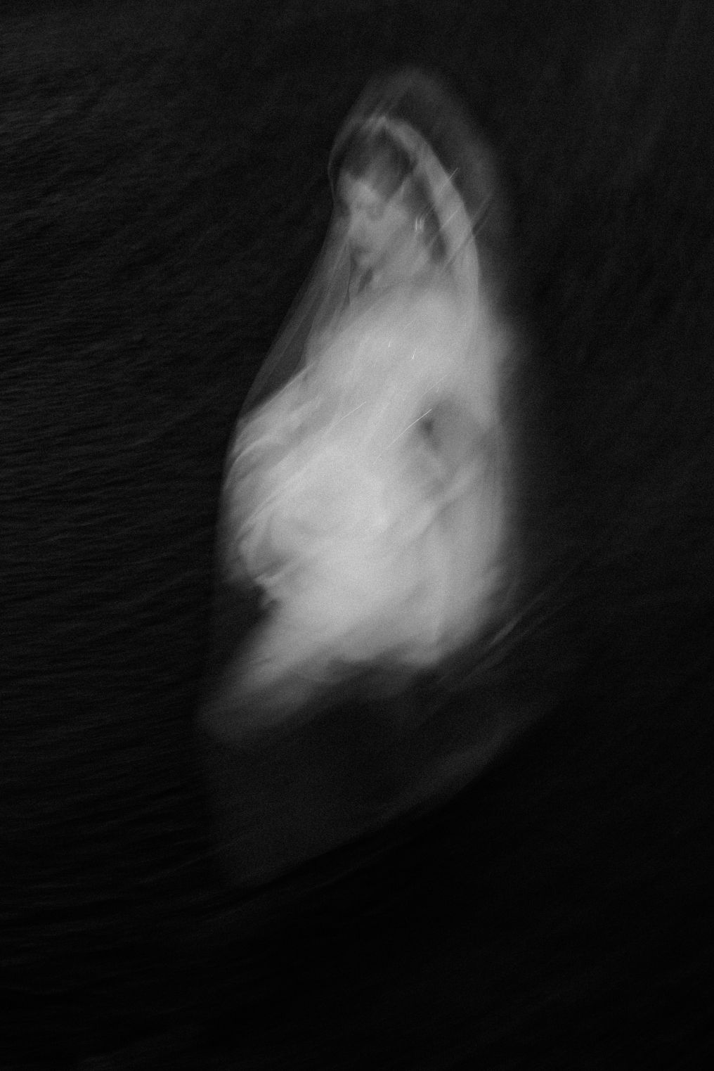 Photographer Raminta