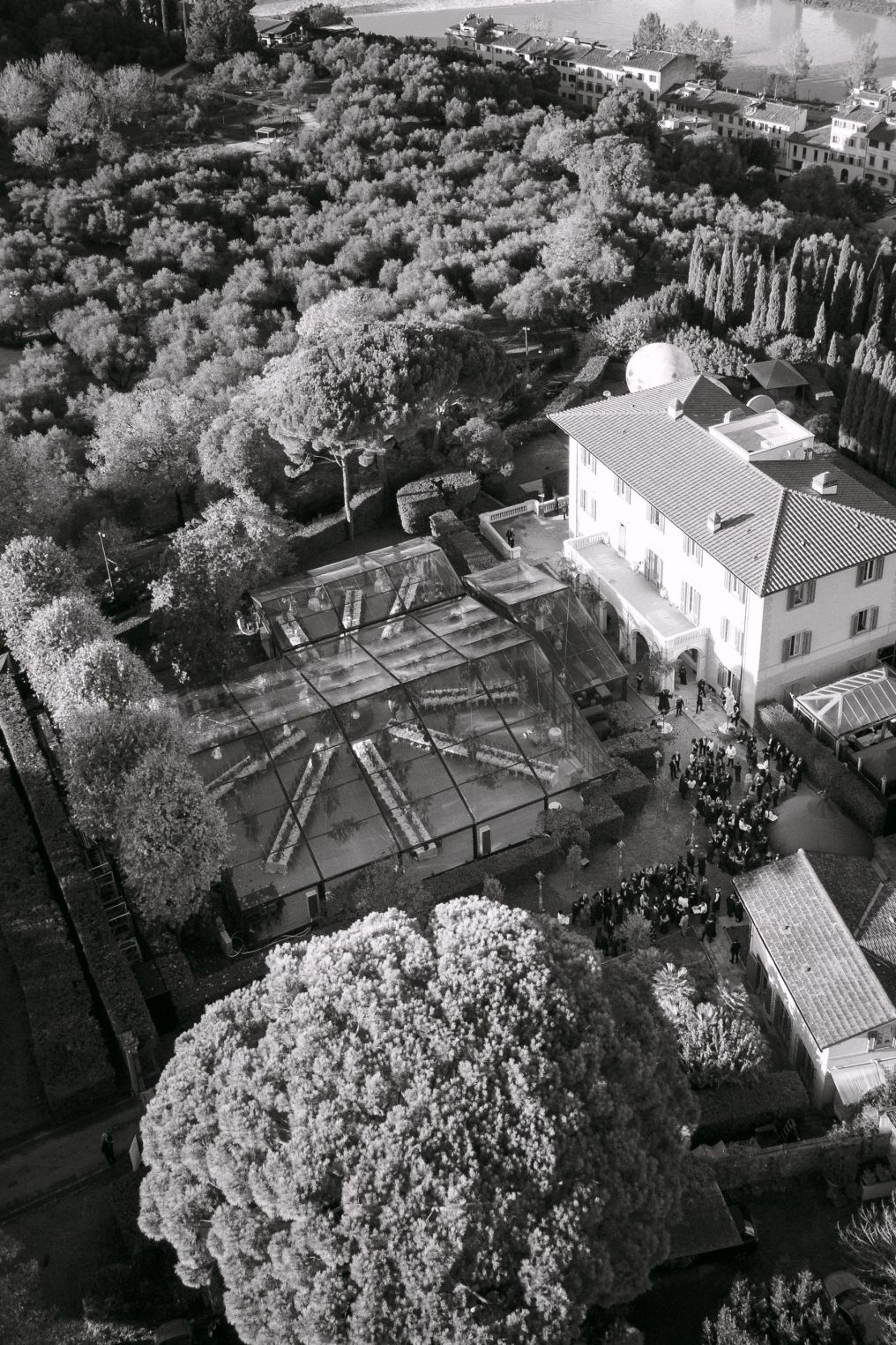 Brandt Weddings Photographer photo