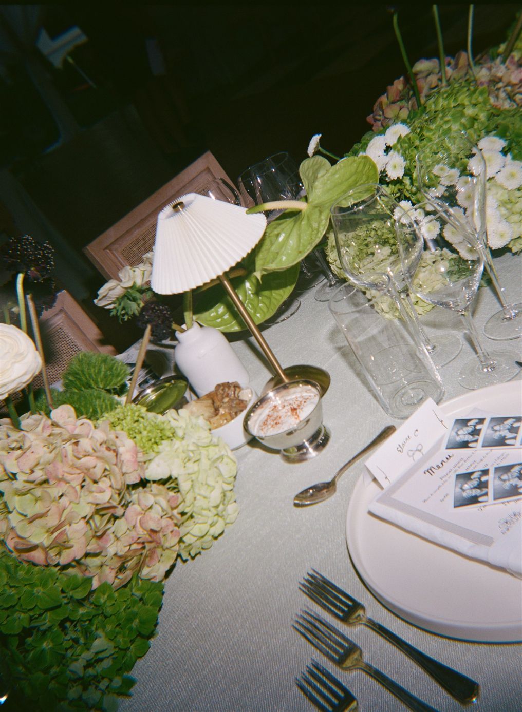 Sara Claudia Photo Photographer photo