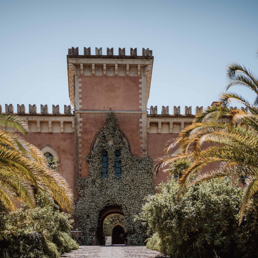 Daniela Riedlova Planner