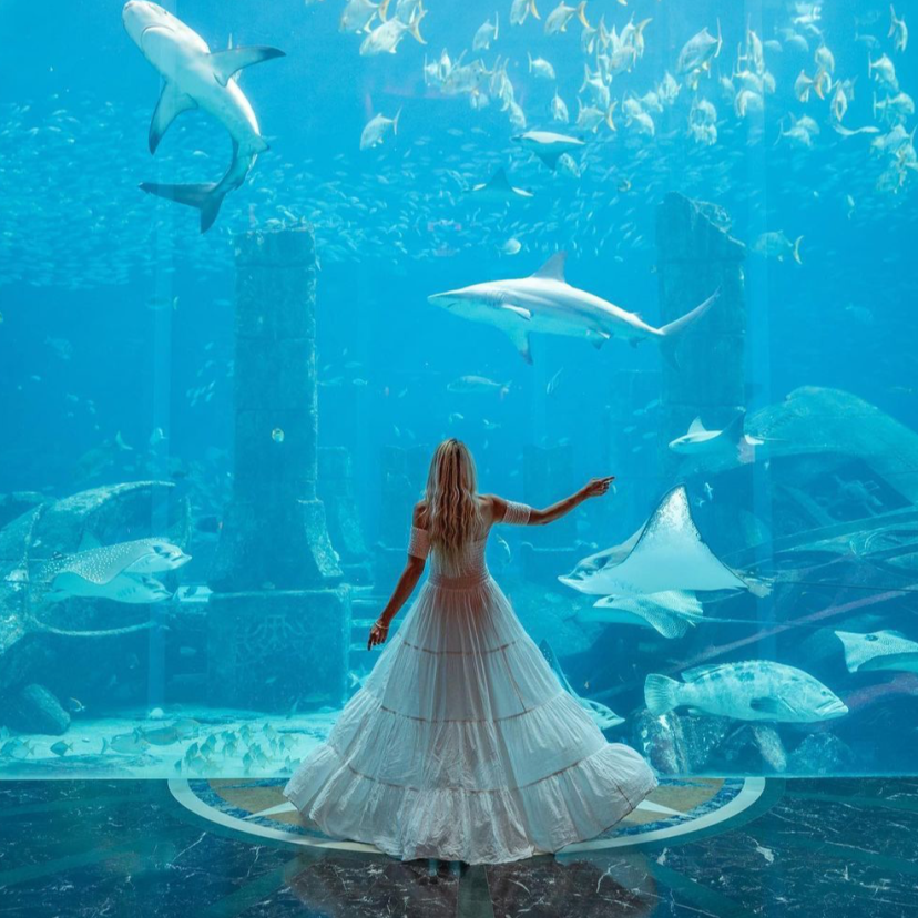 Atlantis The Palm Venues