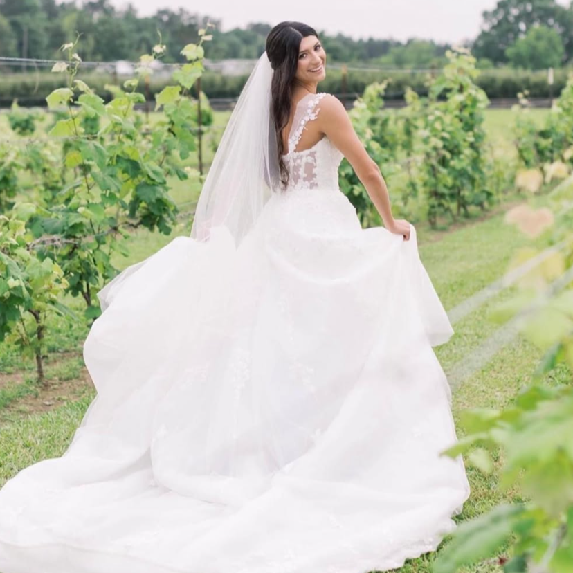 Milićević Farm & Vineyard Venue Venues