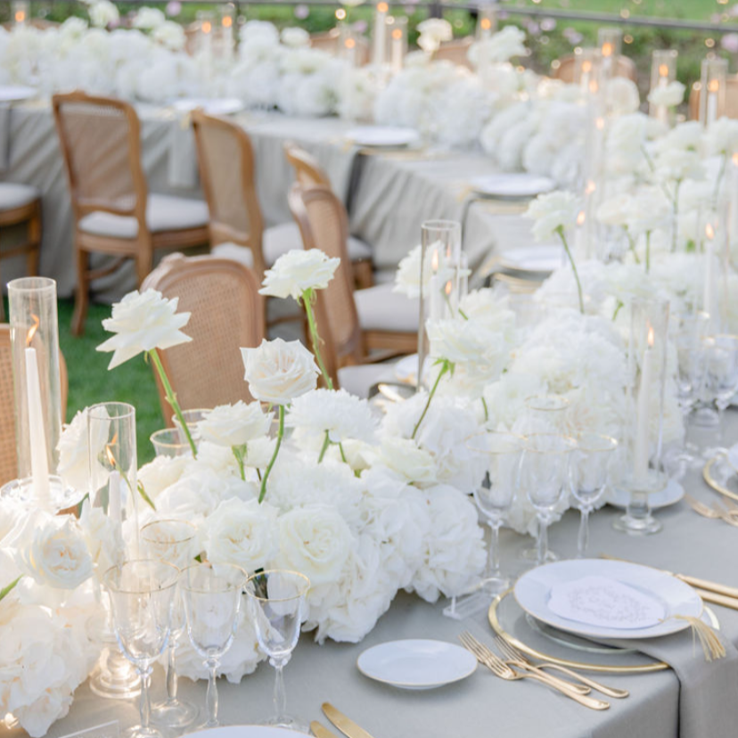 Marilena Zambelli Planner