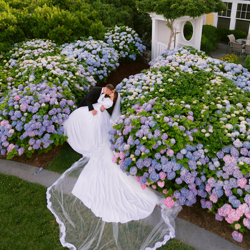 Lisa Vorce Co Planner