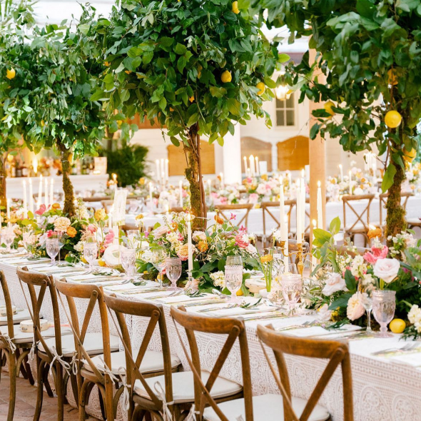 Masi Events Planner Masi Events Planner