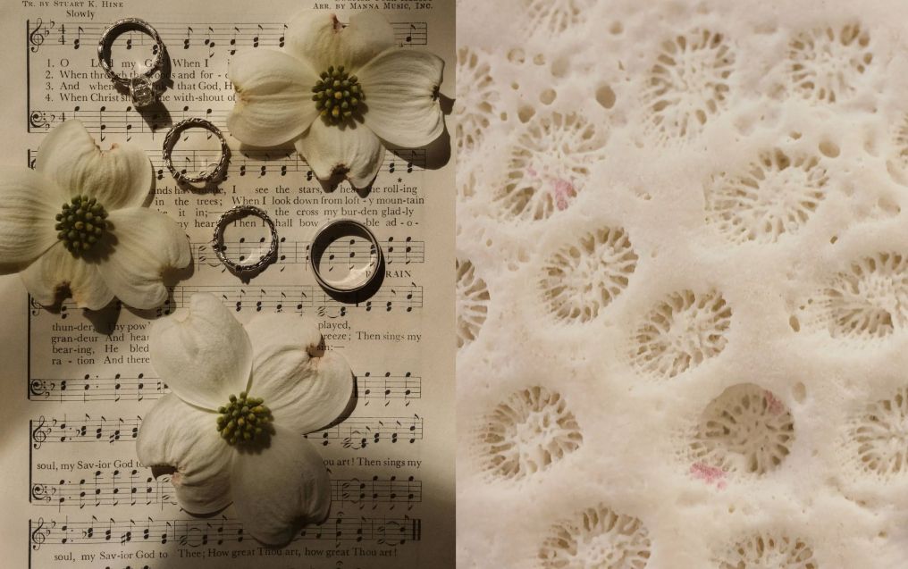 Polly and the Lovebites Photographer photo