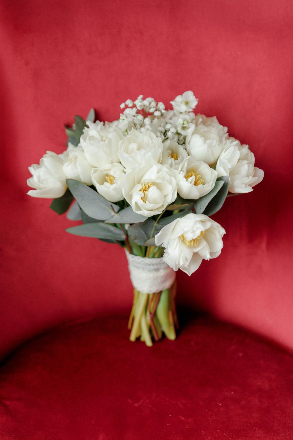 Lana Alekhina Photographer photo