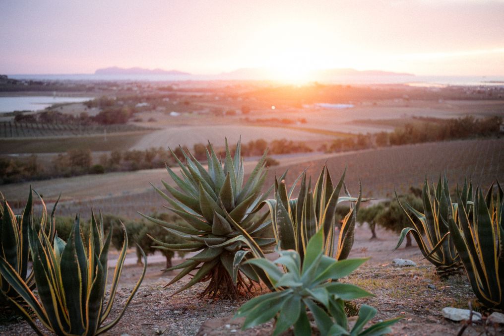 Baglio Soria Resort & Wine Experience