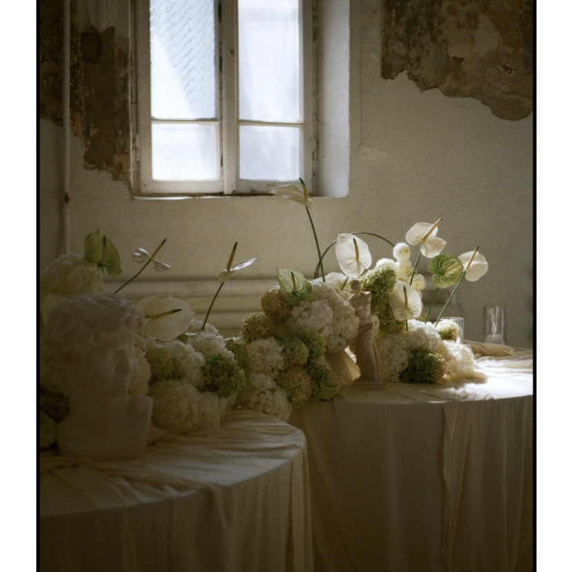 100 Stories Media Photographer