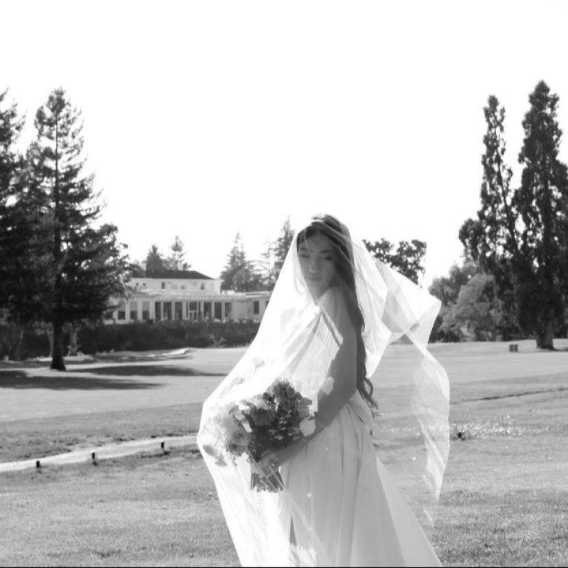 Alison Renee Photographer Alison Renee Photographer