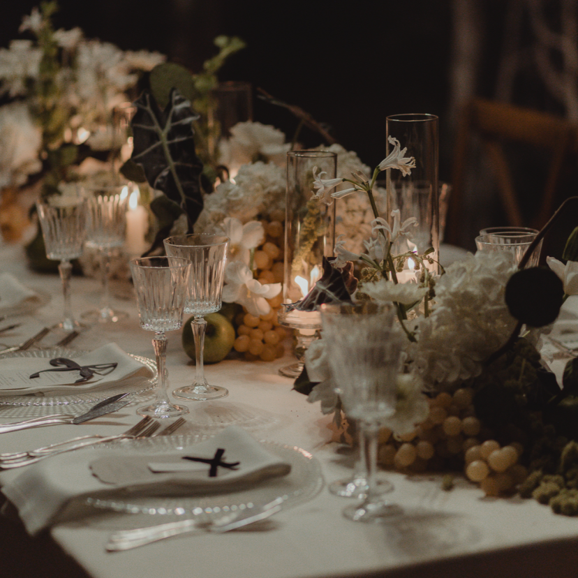 Erica La Venuta Photographer