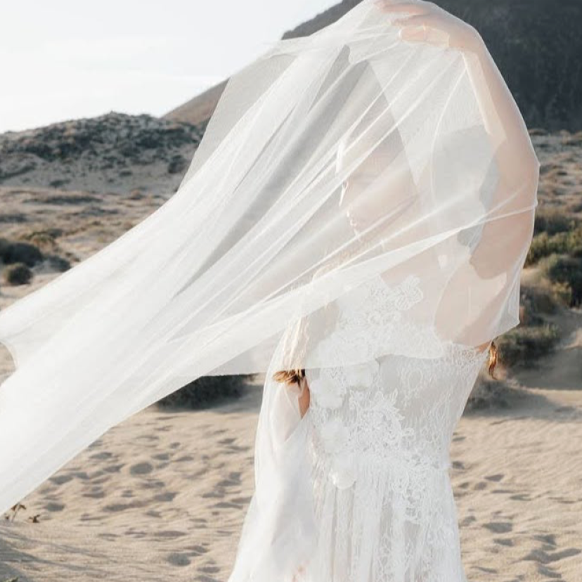 Birgit Walsh  Photographer