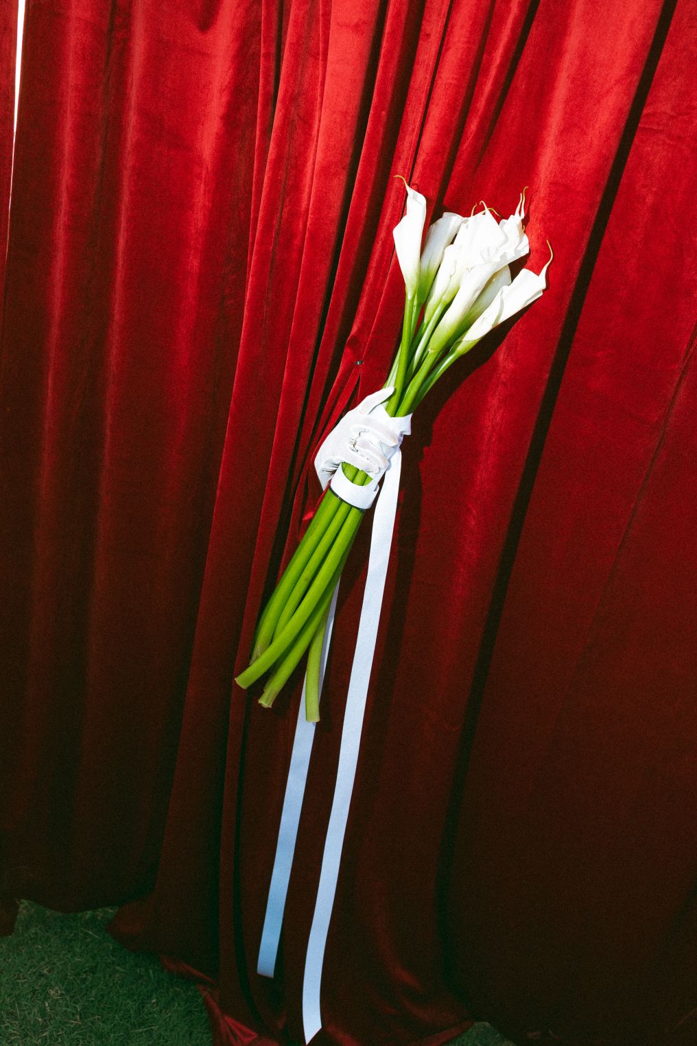 Wild Rose Creative Co.