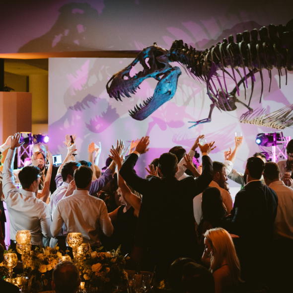 Jonathan Ivy Photography Photographer