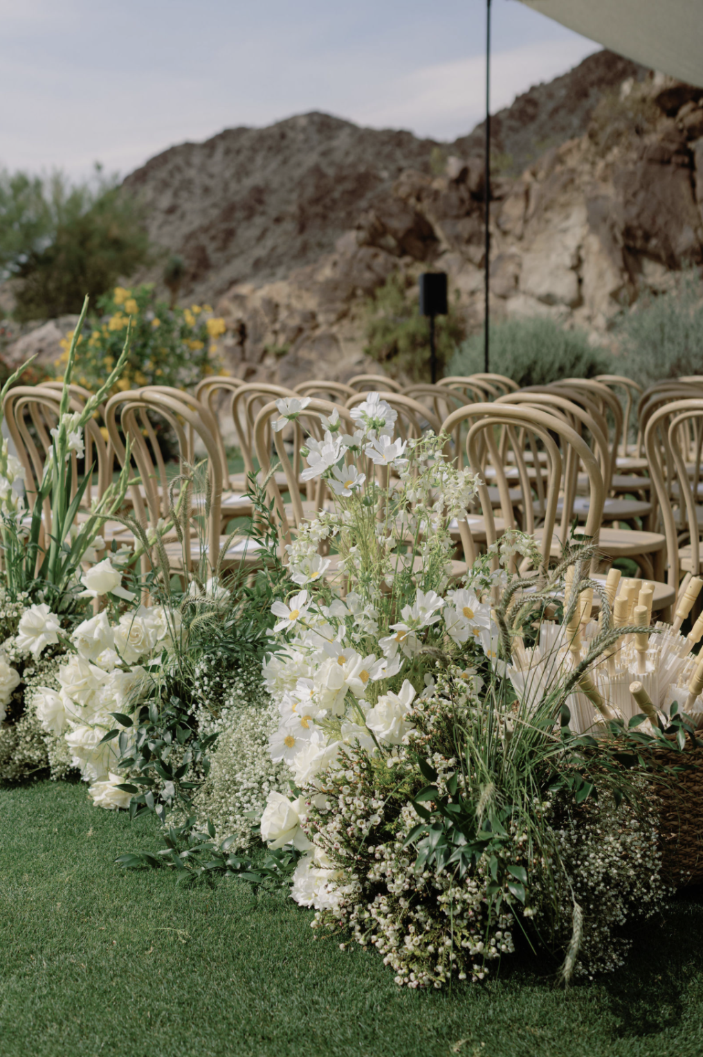 Niki Rhodes Photographer photo